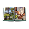 Libro LAKE COMO IDYLL