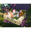 Silla Plein Air