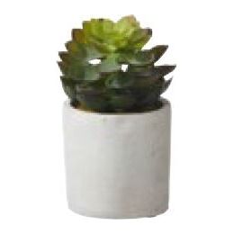 Maceta SUCCULENT